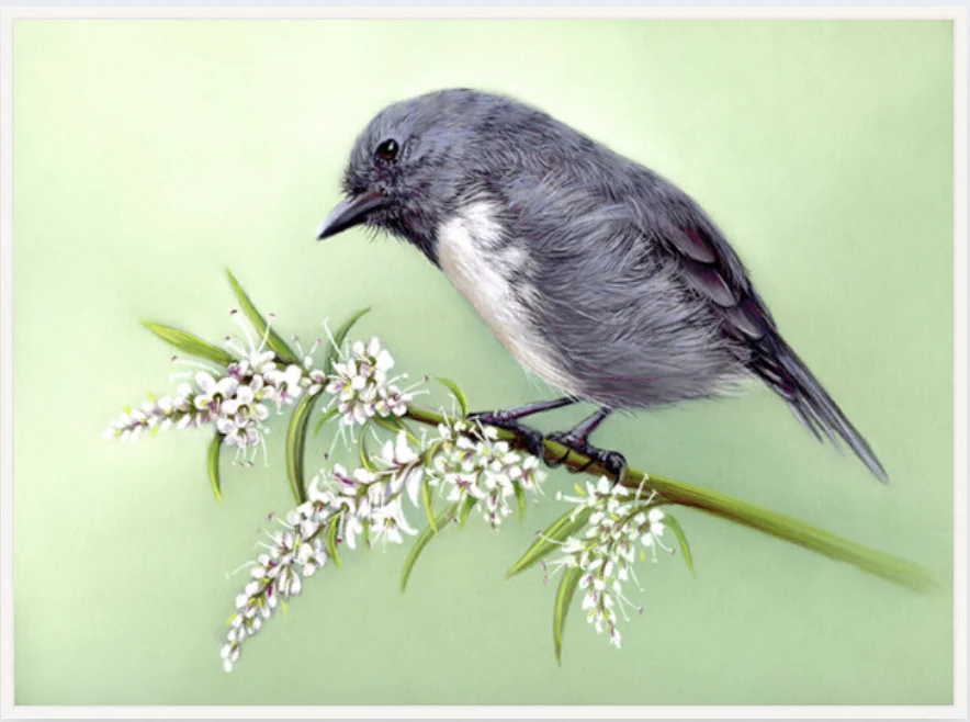 Box Frame - Robin & Hebe