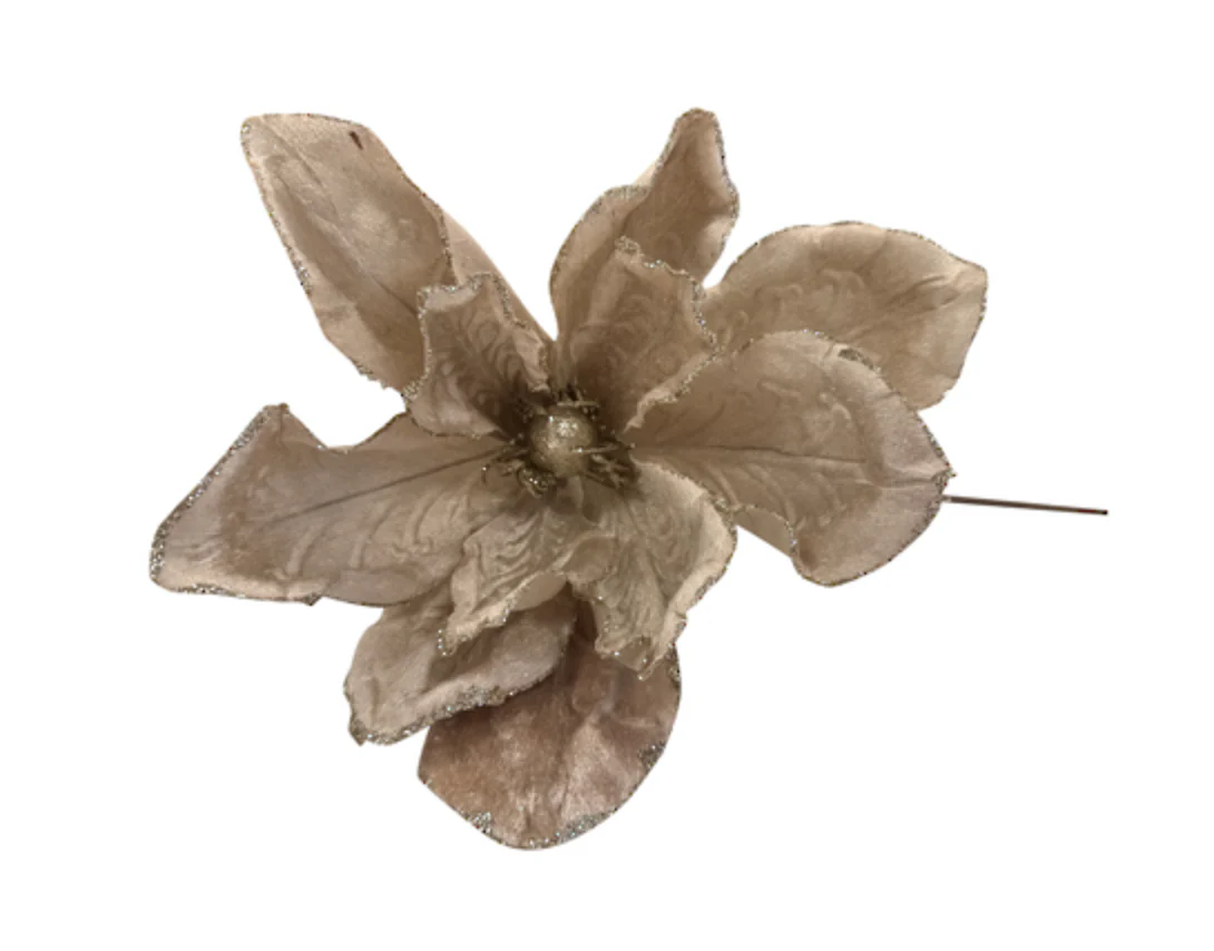 Champagne Magnolia Pick