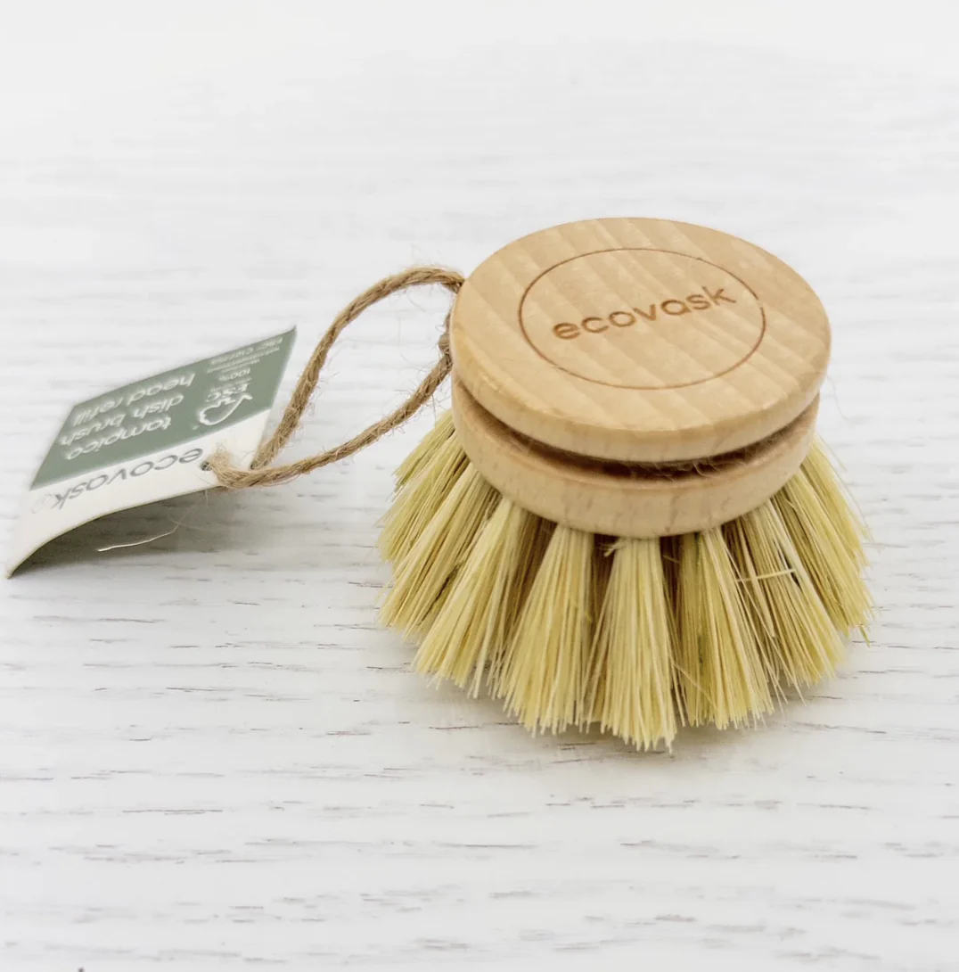 Replacement Dish Brush Head - Tampico