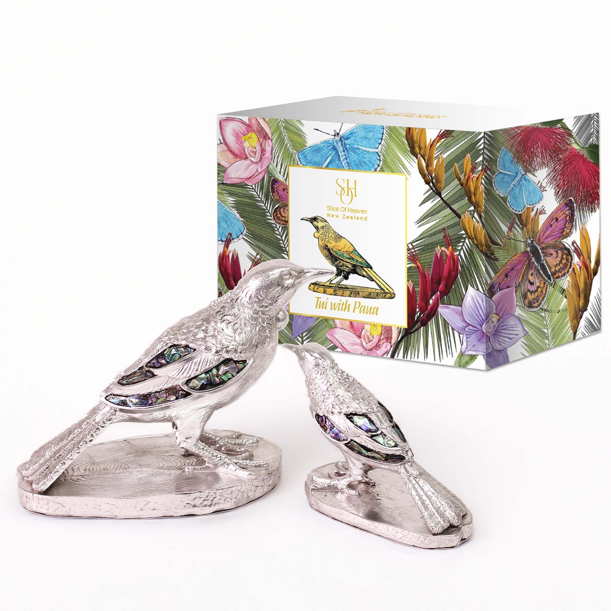 Silver Tui with Paua in Coloured Box - Small